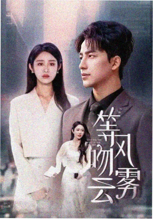 韩国悬疑剧首尔迷雾档案全集在线观看